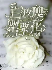 HP：白玫瑰与罂粟花