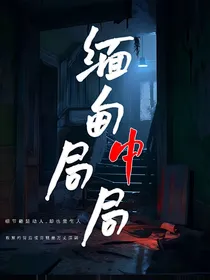 缅甸局中局