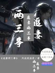 追妻两三事