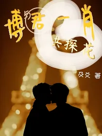 博君一肖：与君共探花