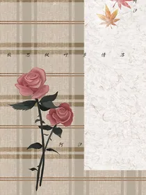 语句有时候ch的句子可能会很多