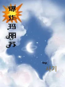 爆炸玛丽苏