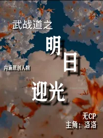 武战道之明日迎光
