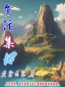 复活集困