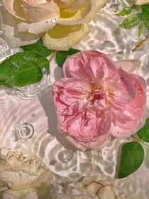 帮转校生追闺蜜