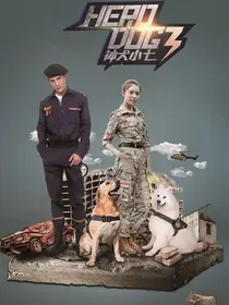 神犬小七之幸福生活