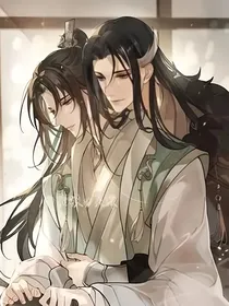 洛府小公子