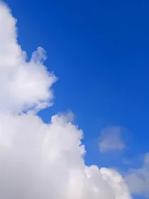 自然本体：轻宝