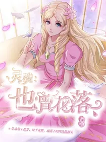 灵魂：也曾花落