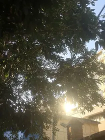 北大学渣