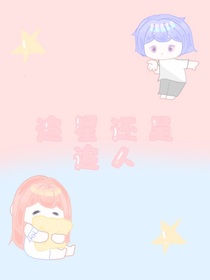 追星还是追人