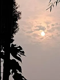 悼念我们的回忆