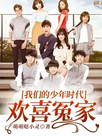 我们的少年时代：欢喜冤家