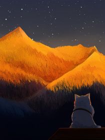 星河沉沦
