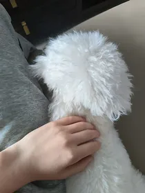 剑心恋