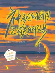 神秘的团队之消失的队长……