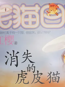 笑猫日记同人：消失的虎皮猫