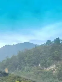 心生（心声）-d598