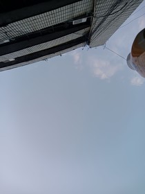 盼乡