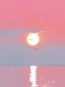 凹凸未来的孩子们