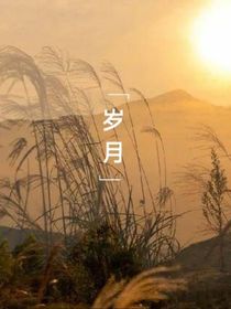 岁月风平集