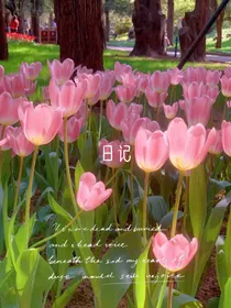 ——日记