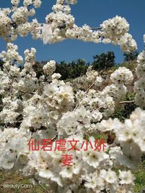 仙君虐文小娇妻