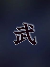 武士——
