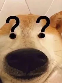 师尊不是高危