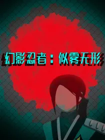 幻影忍者：似雾无形