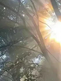 眠于世间
