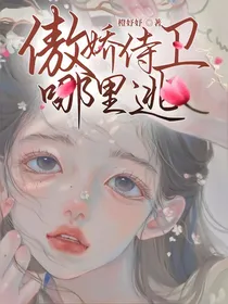 傲娇侍卫哪里逃
