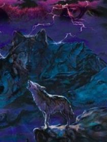 野狼谷传奇：狼妖的故事