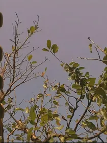 进击的巨人：遗憾补救计划