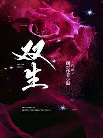 双生：守护