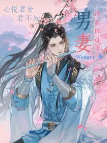 男妻：心悦君兮君不知