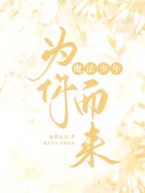 魔法少年：为你而来