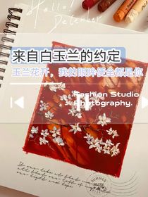 来自白玉兰的约定