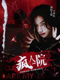 王琳凯：疯人院