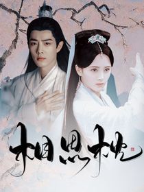 新白娘子传奇：相思枕