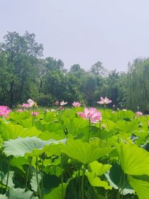 穿越云之羽1
