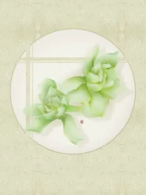 栀子花开（栀子花）