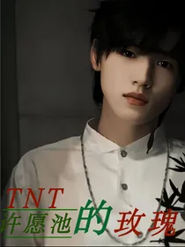 TNT：许愿池的玫瑰