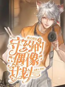 无限王者团：守约的偶像计划