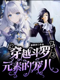 穿越斗1之元素的宠儿