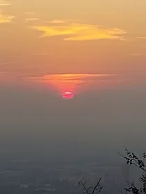 这座城市杀了我