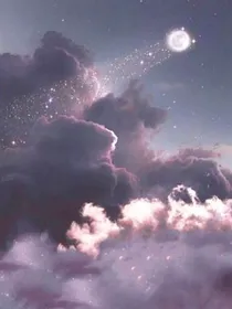 暗夜玫瑰rose