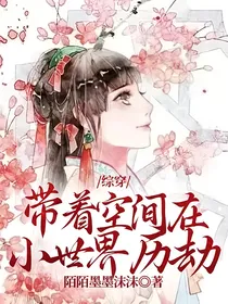综穿：带着空间在小世界历劫
