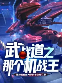 武战道之那个机战王
