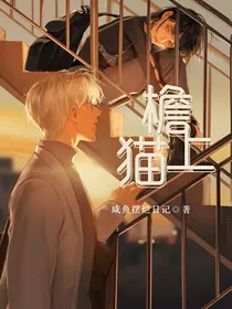 檐上猫（）